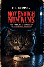 Not Enough Num Nums