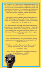 Long Chickens - Daily Planner